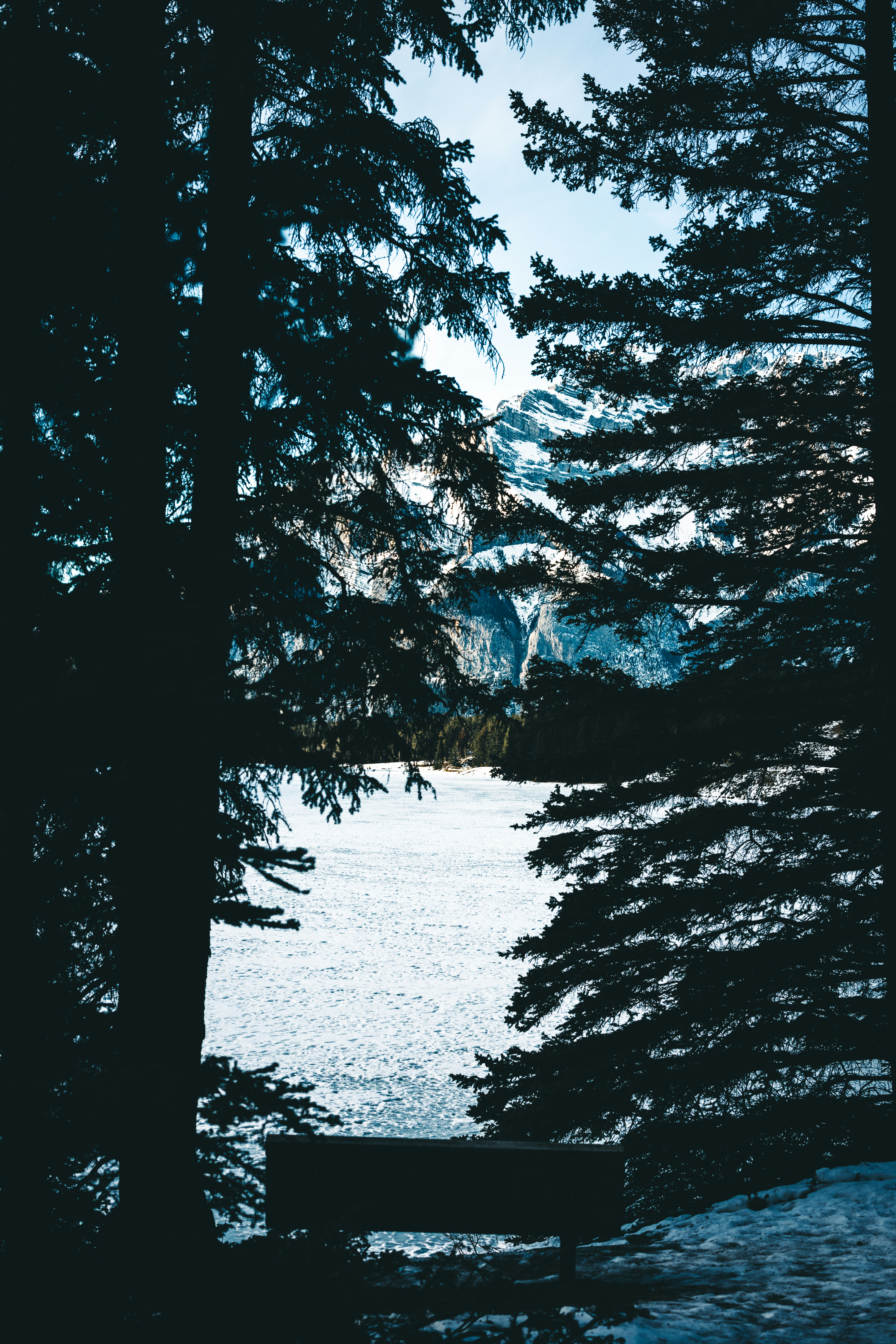 Photo by lureofadventure