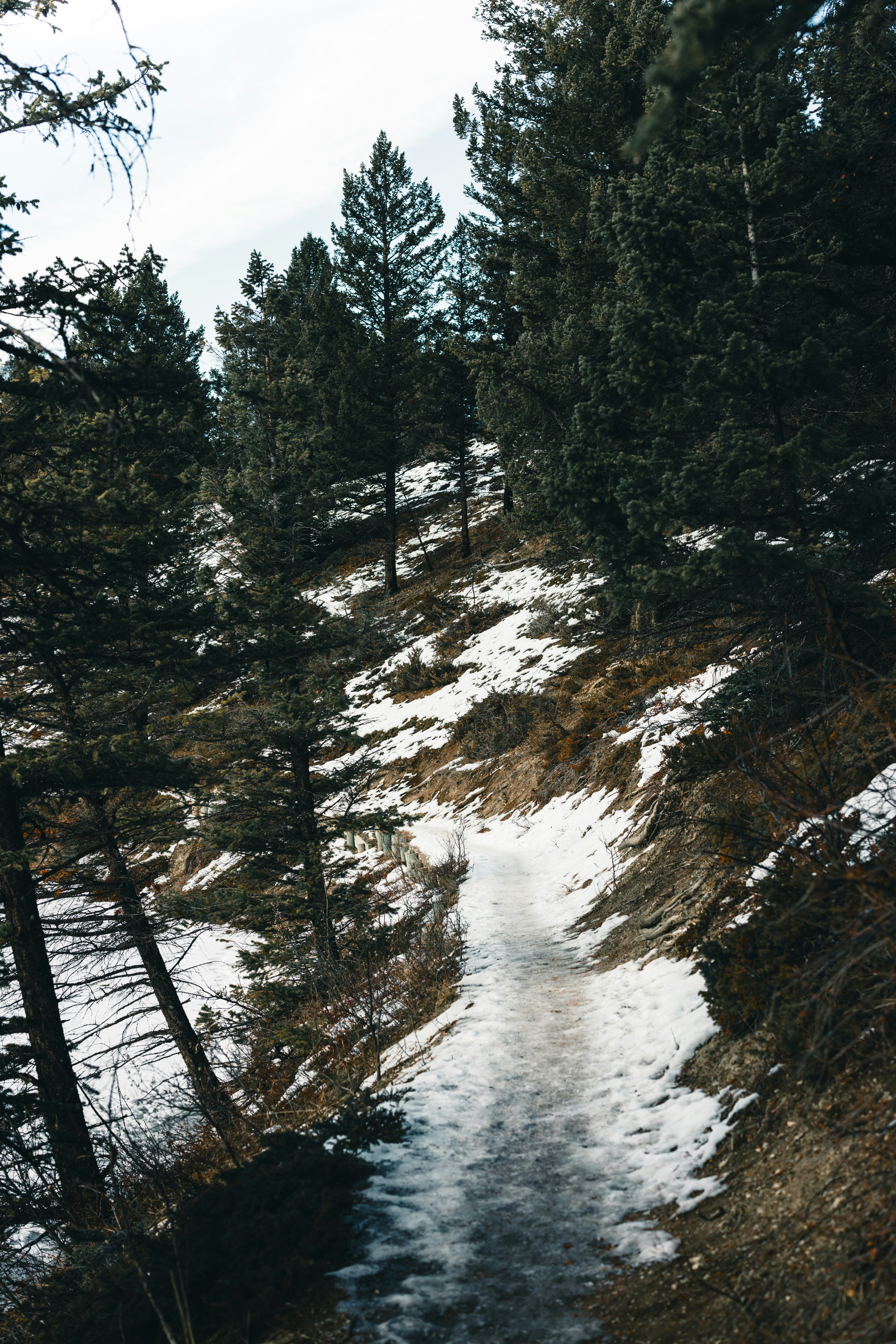 Photo by lureofadventure