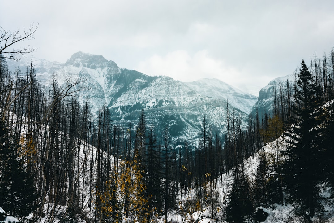 a mountain covered in snow with trees in the foreground, Kootenay is beautiful all year round