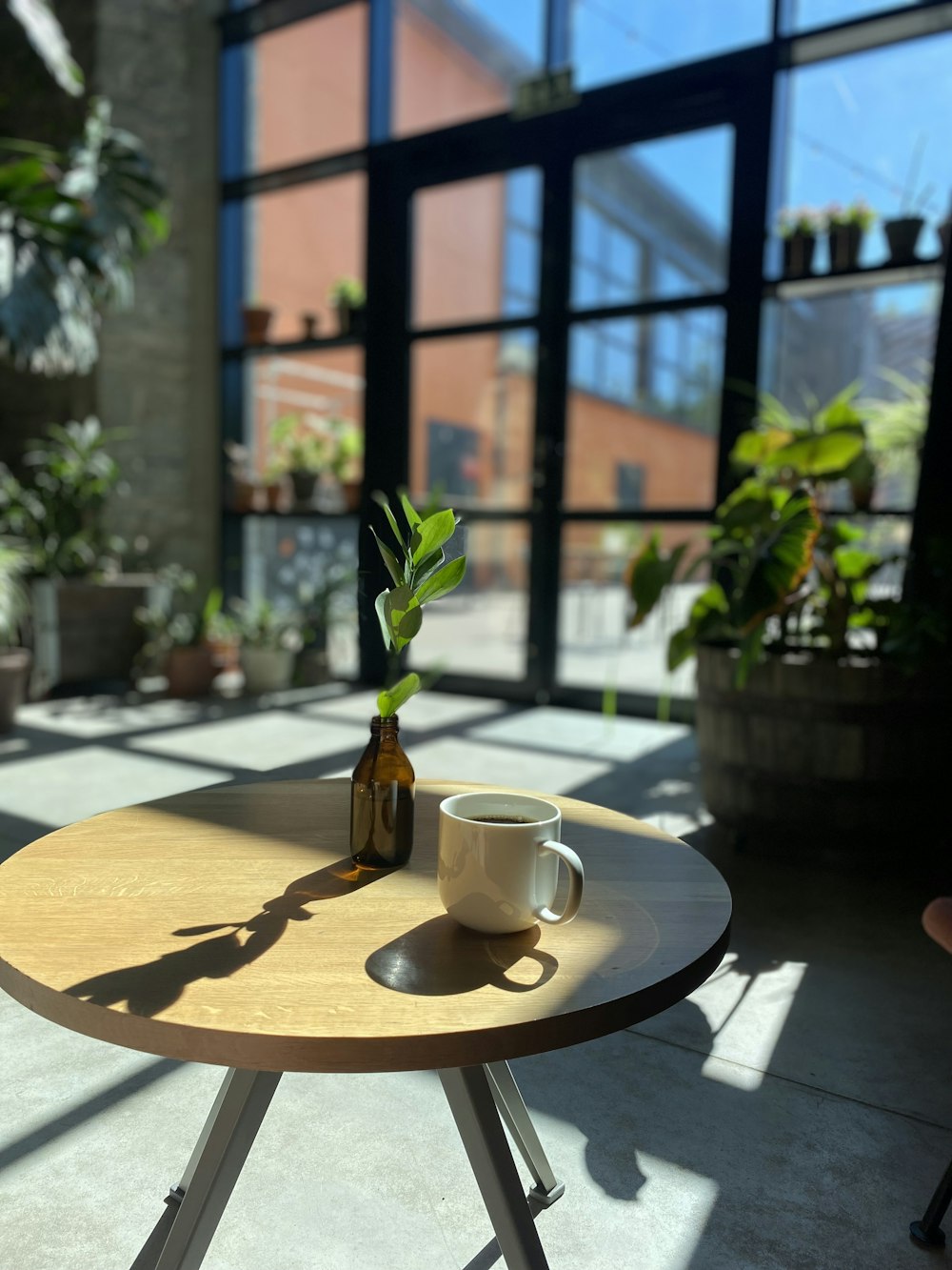 a table with a coffee cup and a plant on it
