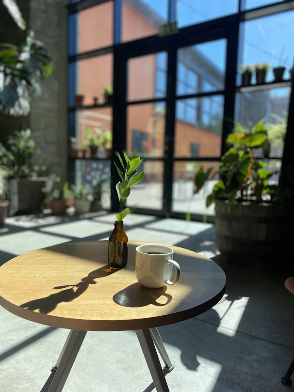 a table with a coffee cup and a plant on it