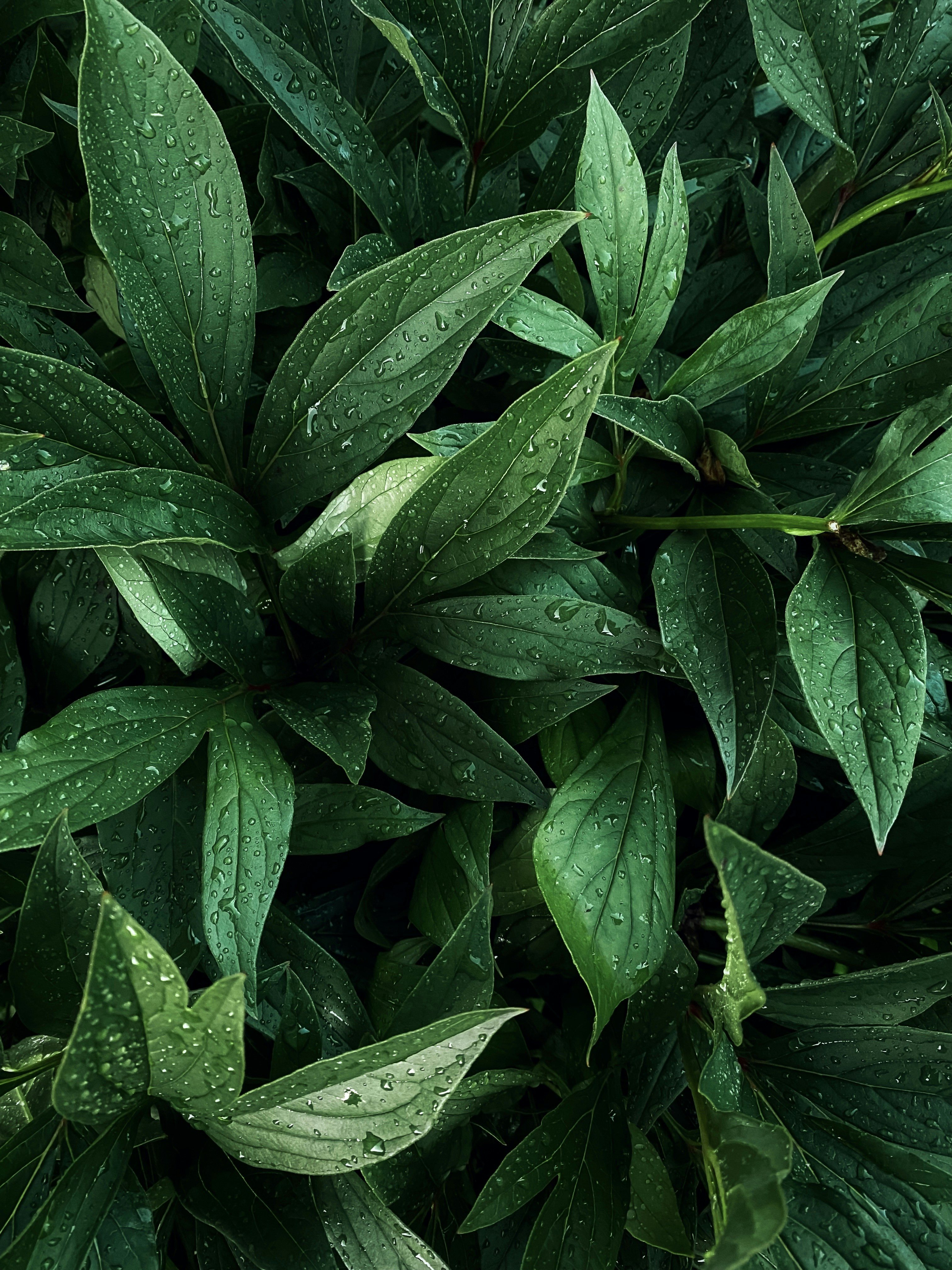 Photo by eugene_golovesov