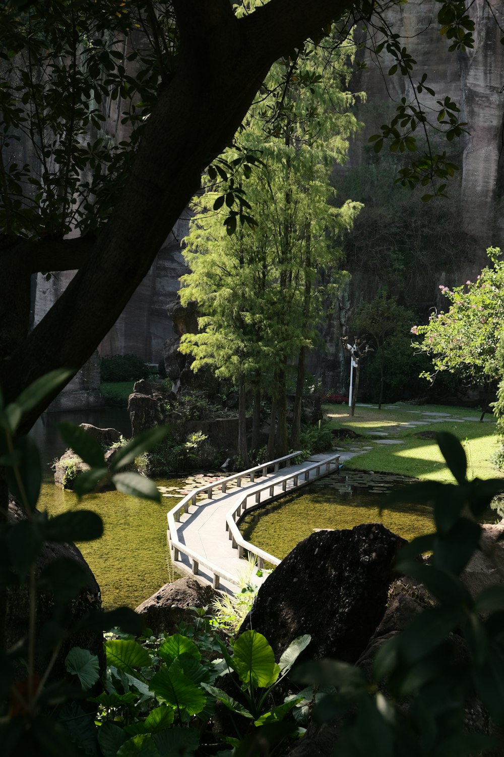 Un puente sobre un pequeño estanque en un parque