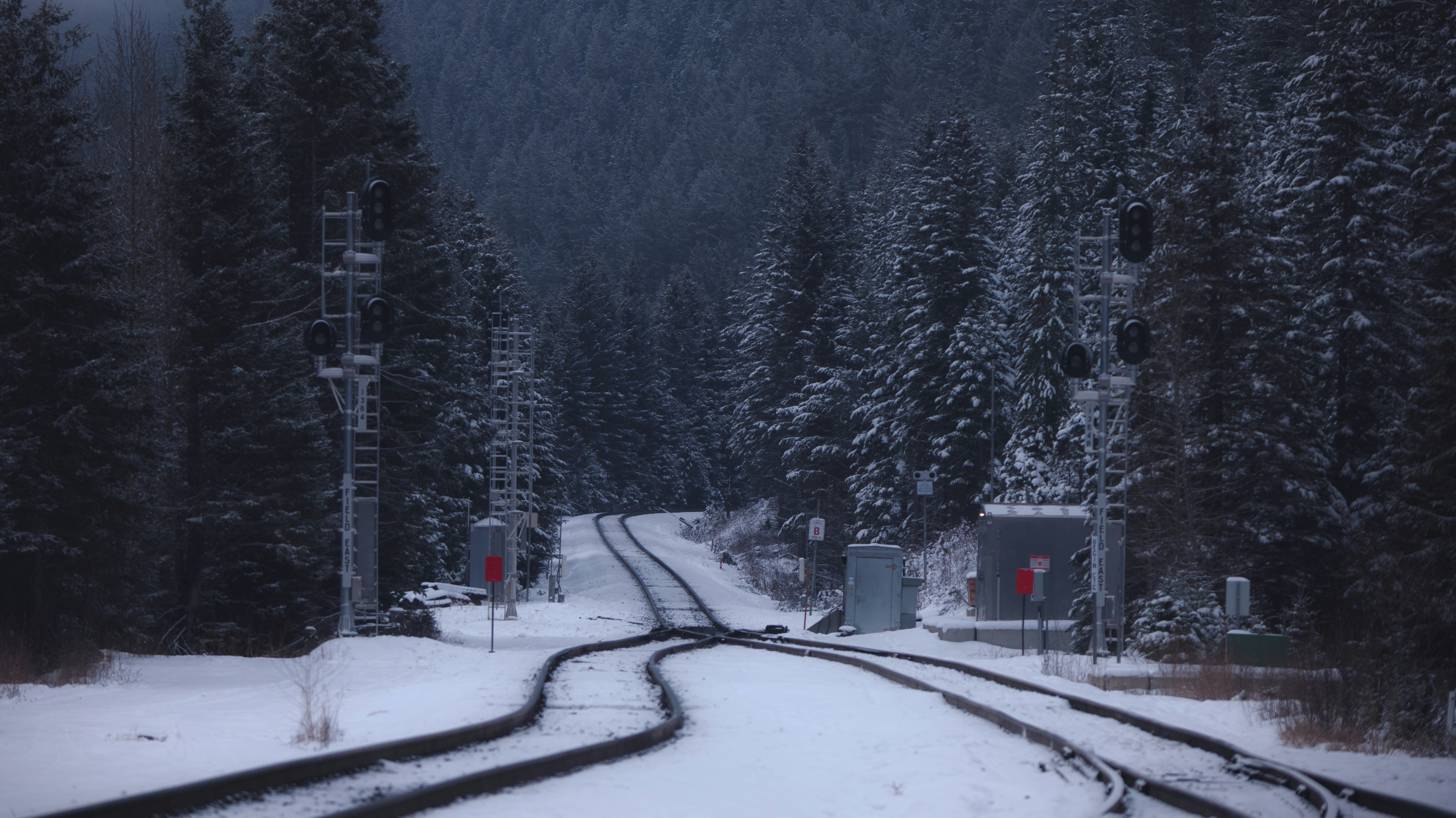 Photo by govizlora