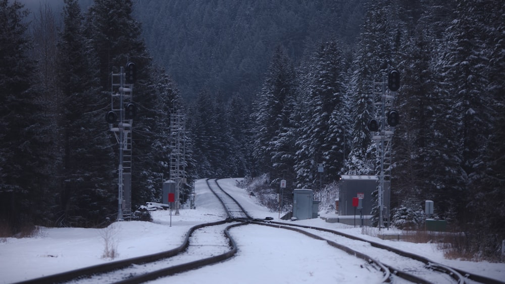 Une voie ferrée au milieu d’une forêt enneigée