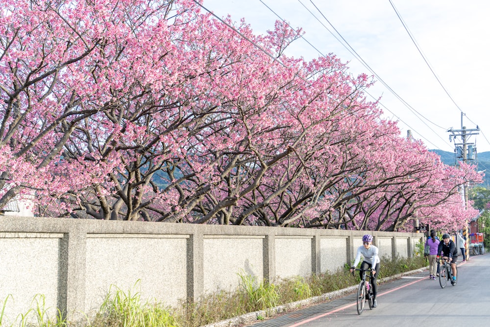 a group of people riding bikes down a street