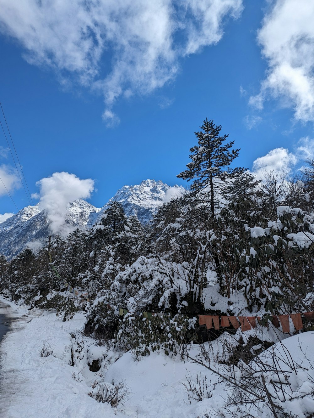 a snow covered road with trees and mountains in the background