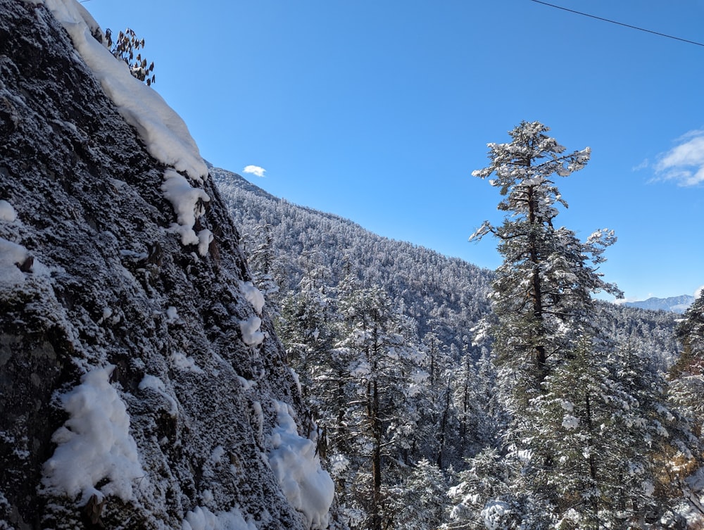 a snow covered mountain with trees and a sky background
