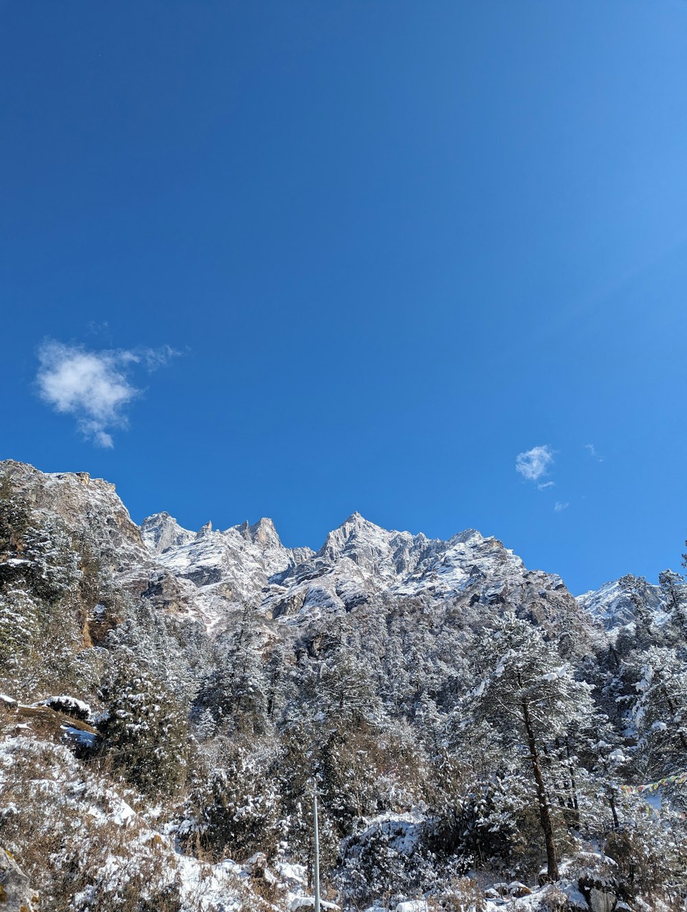 a snow covered mountain with trees and a blue sky