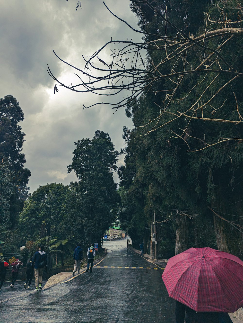 a group of people walking down a street holding umbrellas