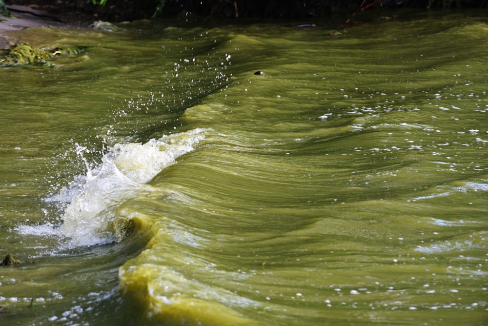 a wave is coming towards the shore of a river