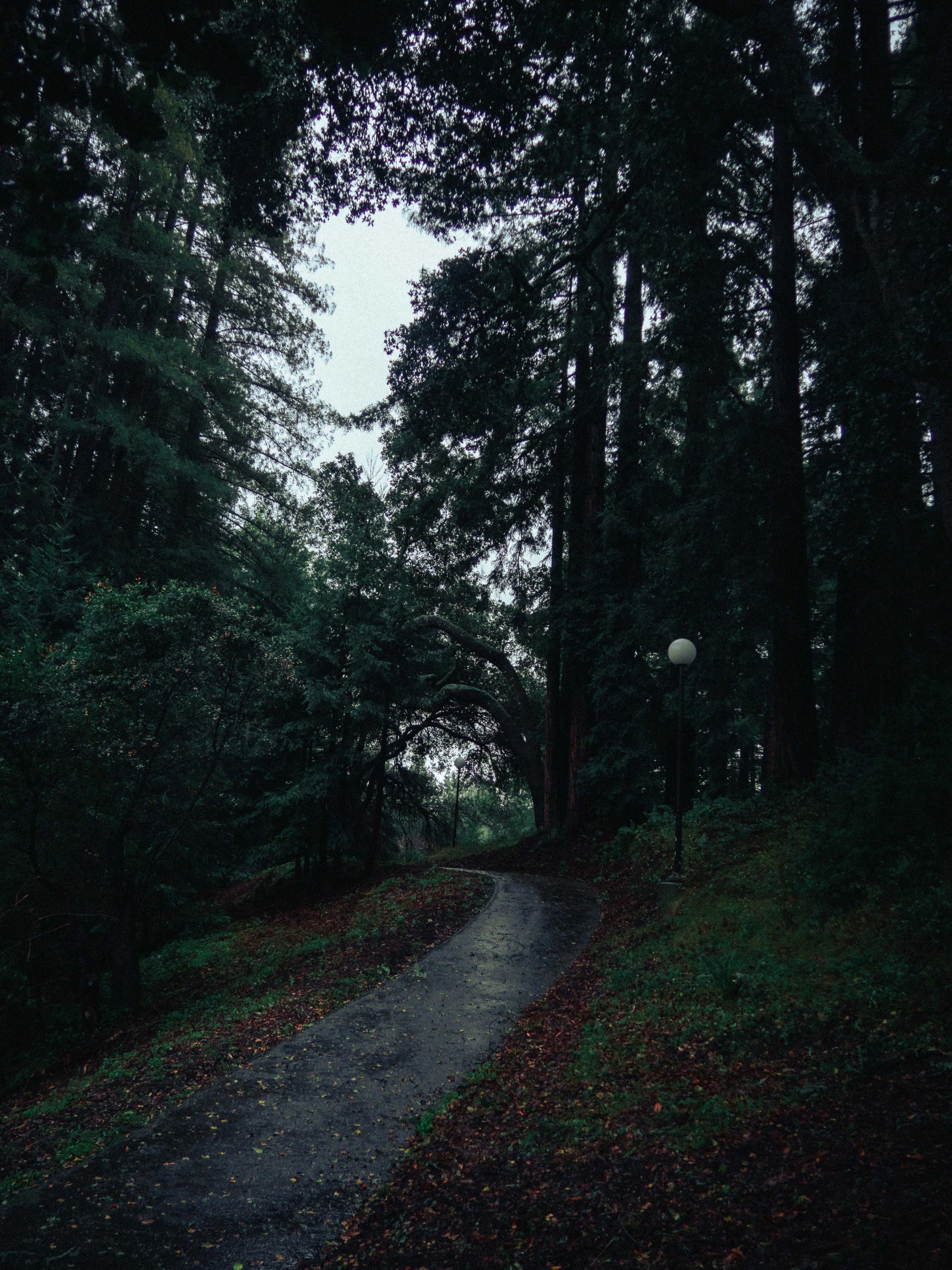 Conquer the Downpour: Choosing the Best High-Quality Rain Shells for Your Wet Weather Hikes