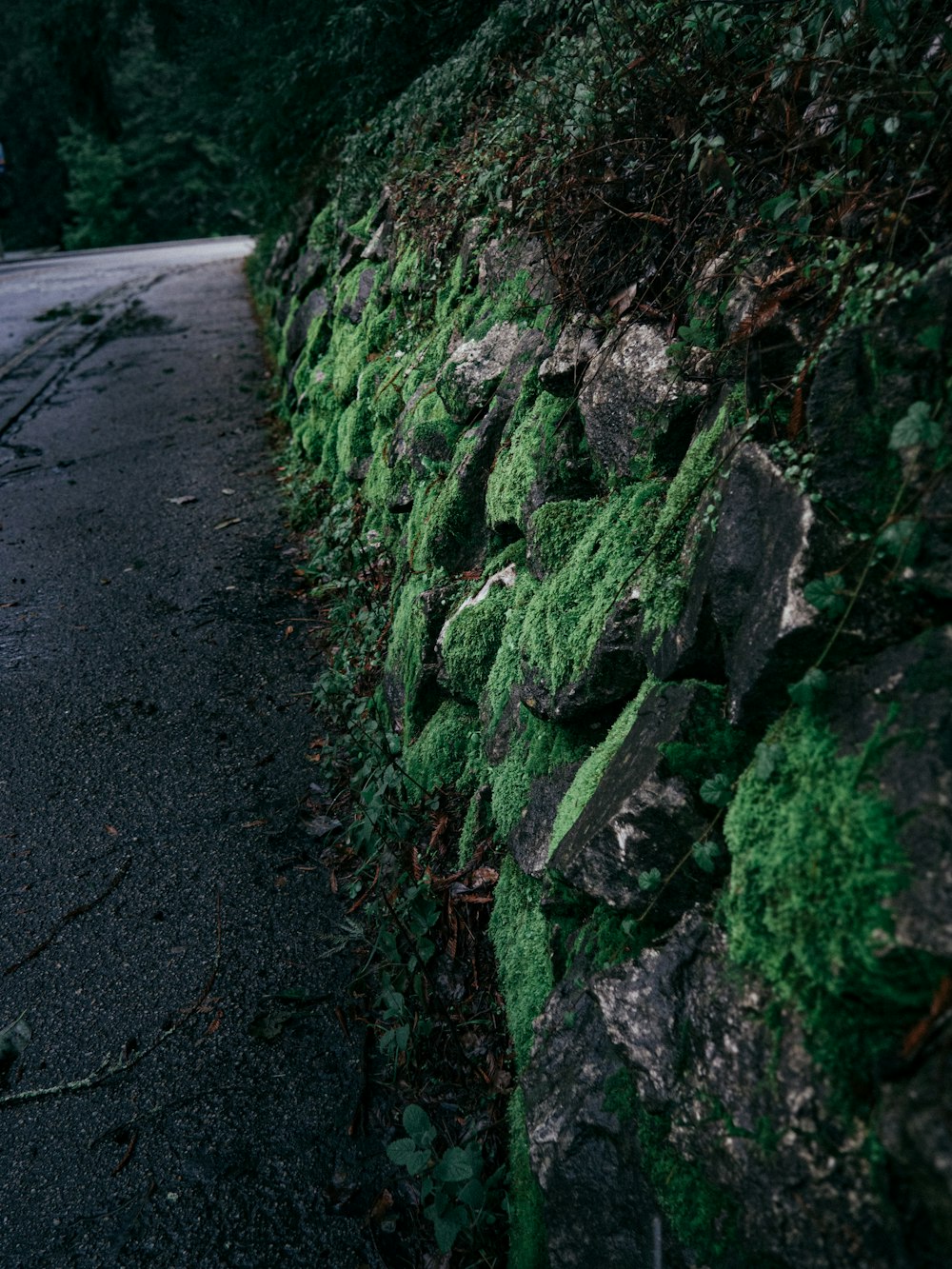 a stone wall covered in green moss next to a road