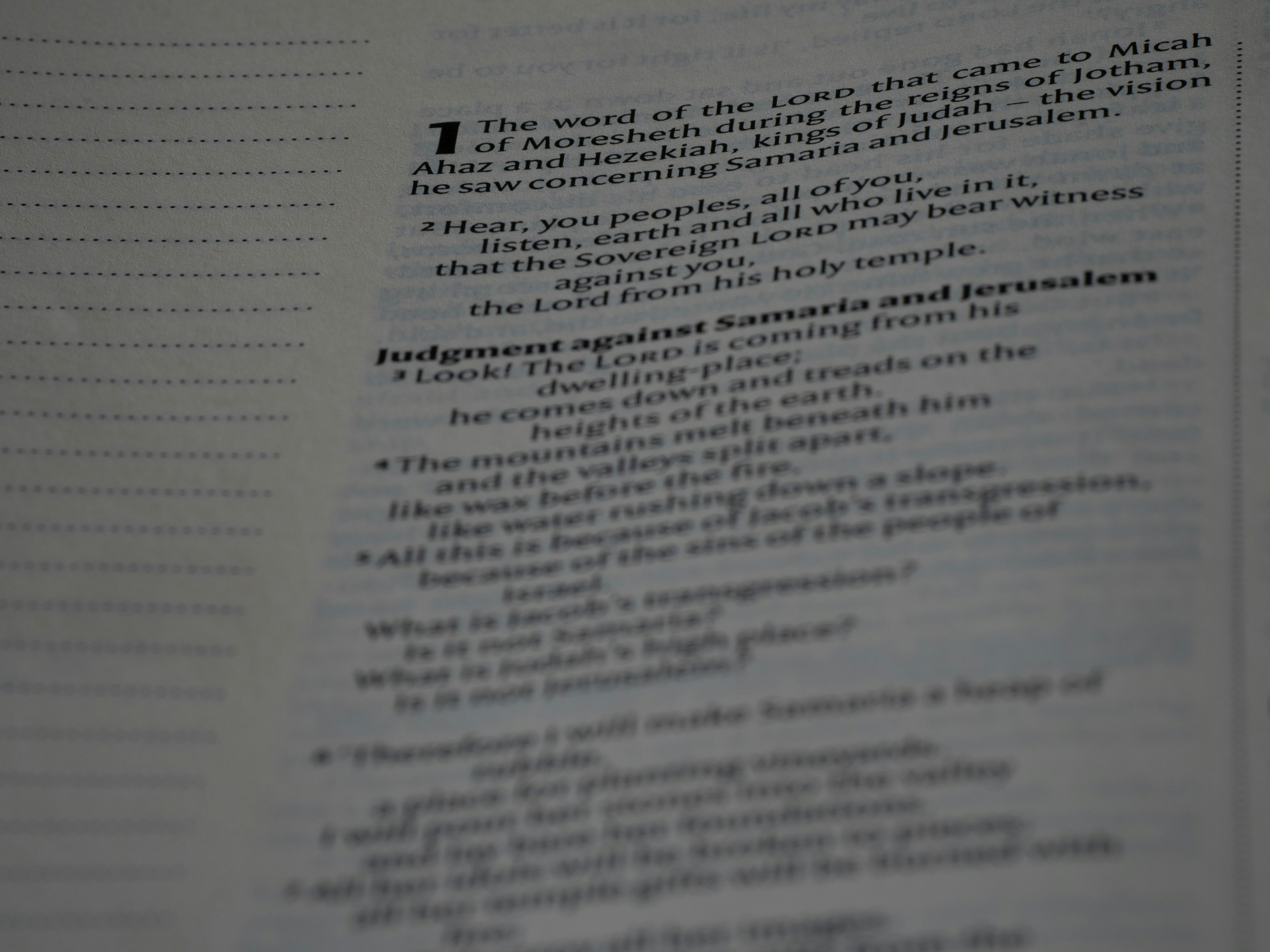 Photo by brett_jordan