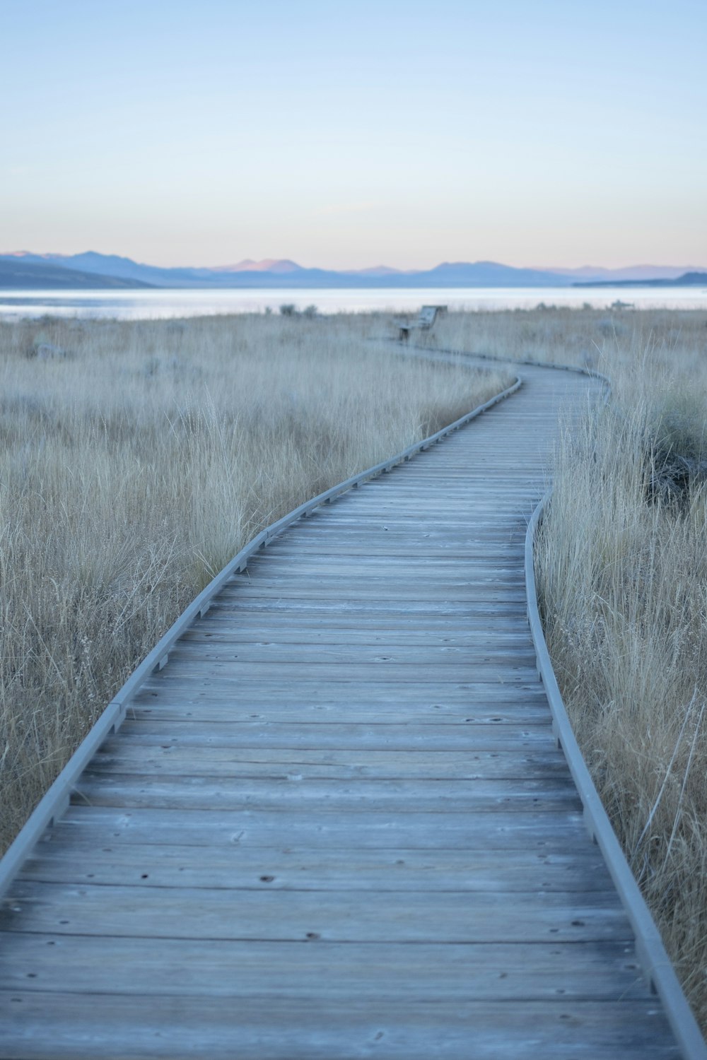 a wooden path in the middle of a field