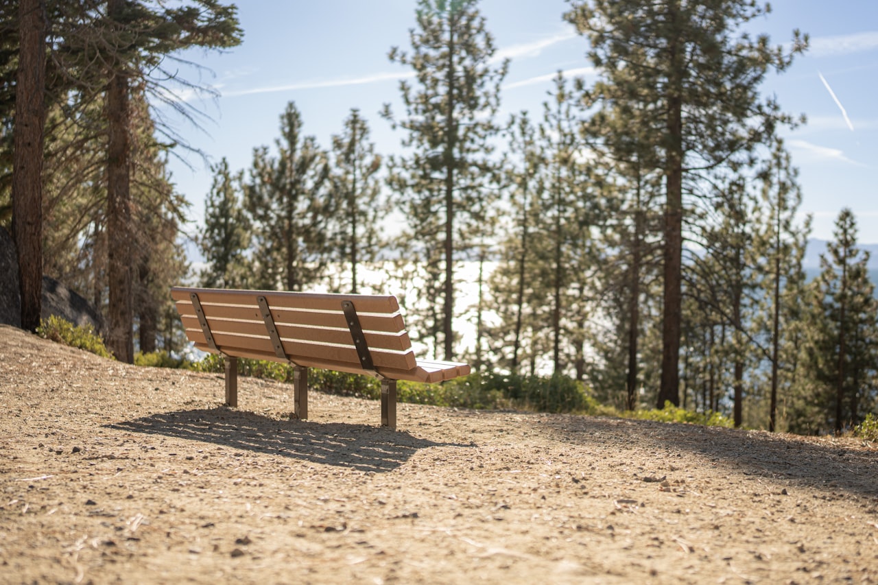 Revitalize Your Lake Tahoe Home: Spring Cleanup Essentials with Cole Mizak