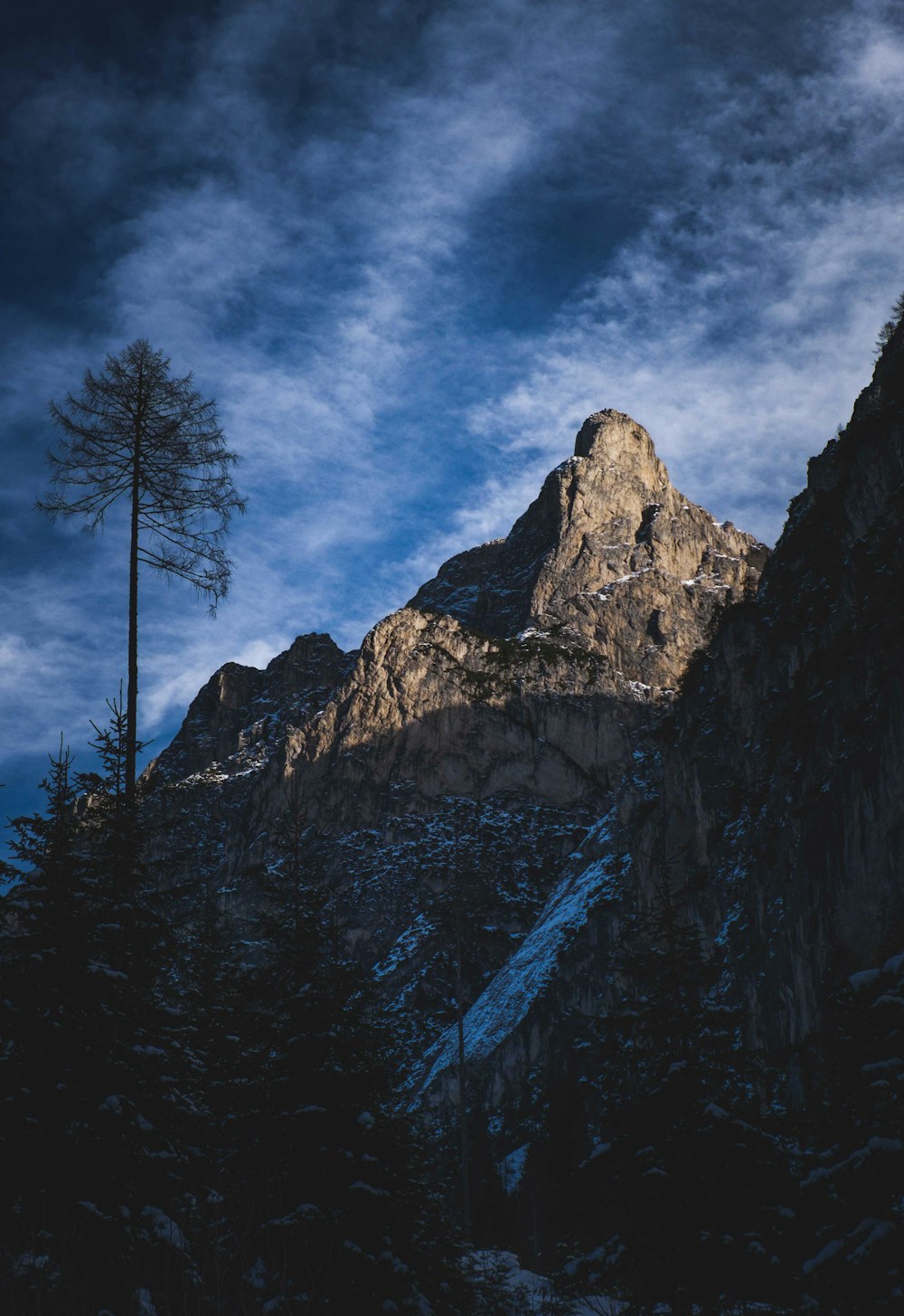 a mountain with a tree on the side of it