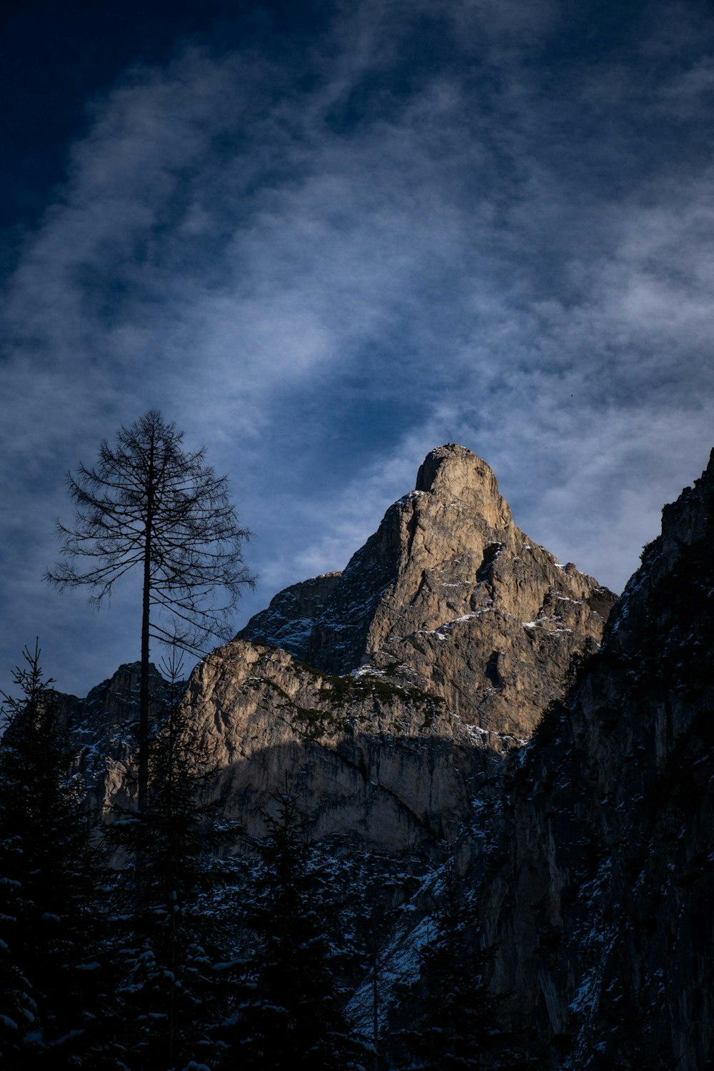 a very tall mountain with a tree in the foreground