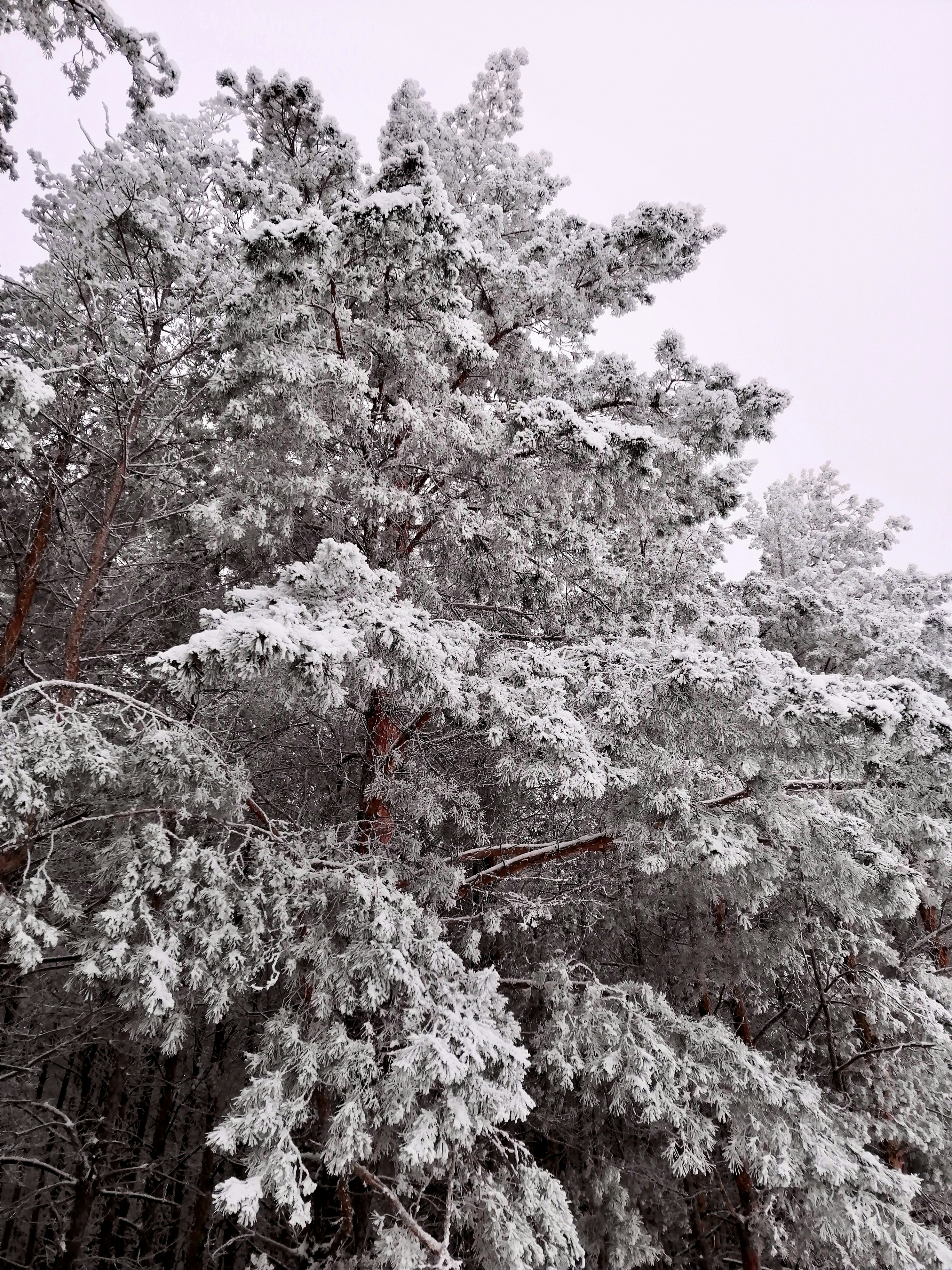 Photo by katrin_bloom