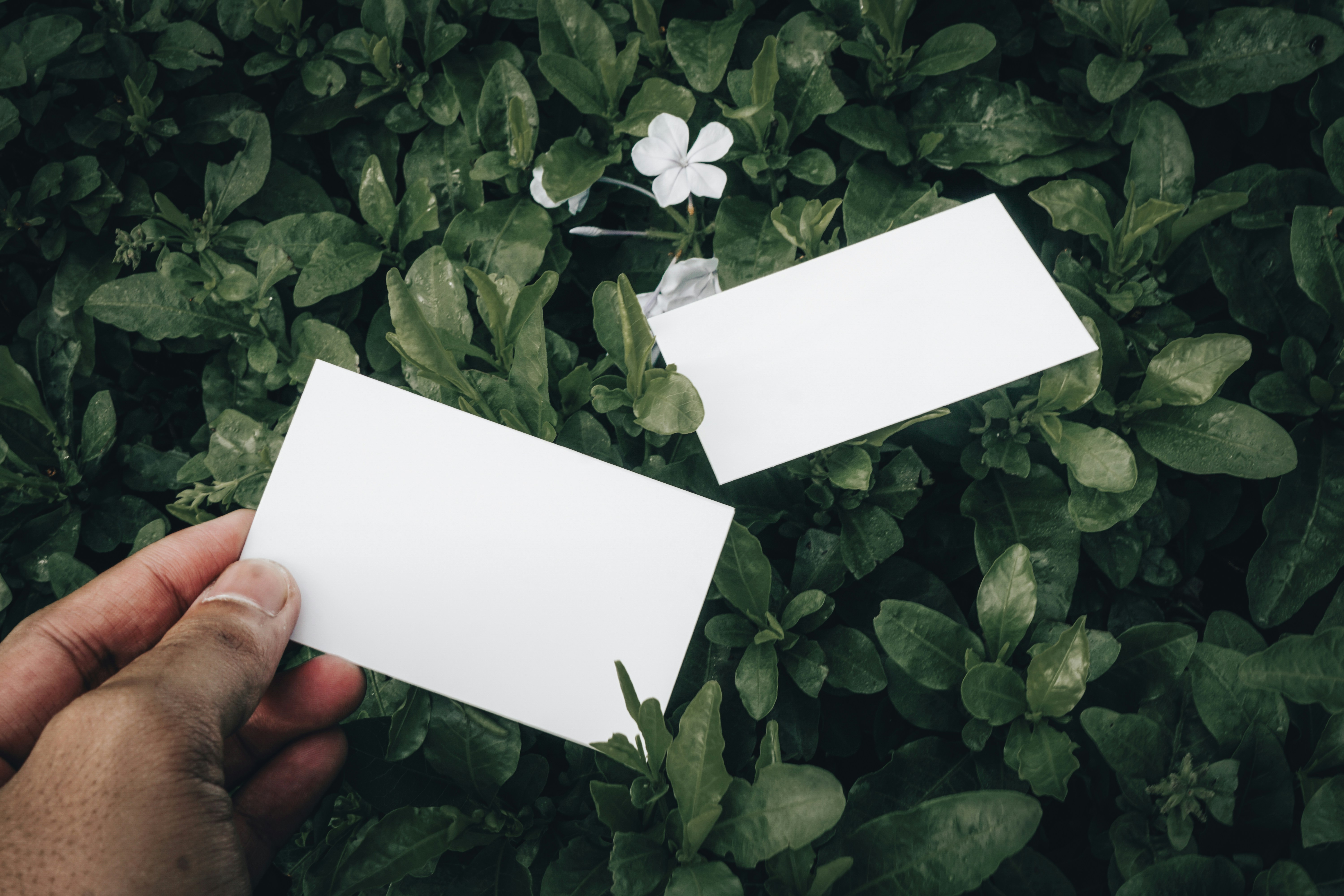 a person holding a piece of paper in their hand