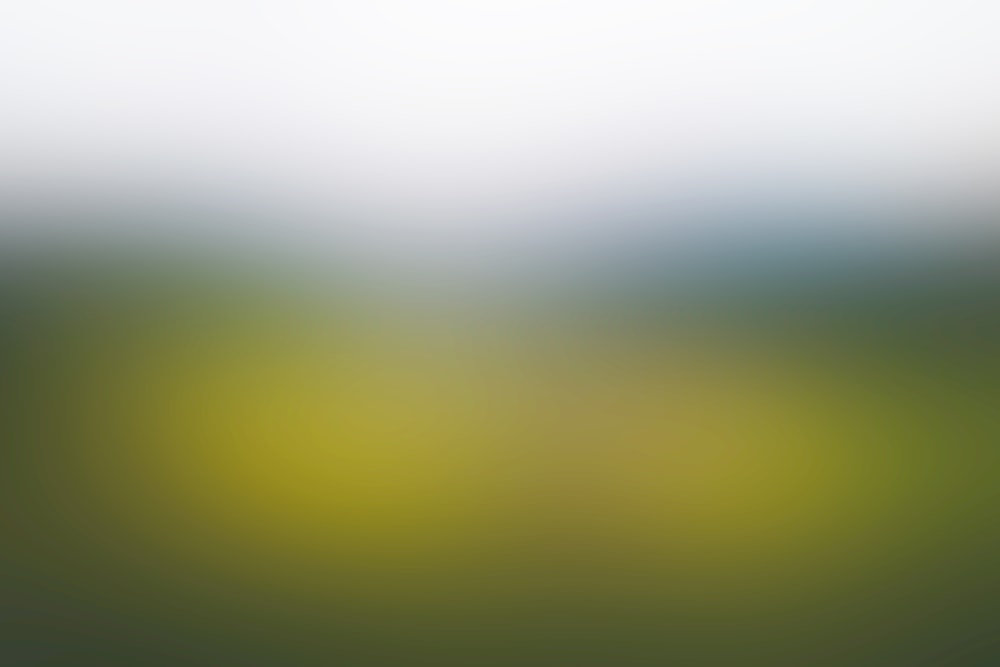 a blurry image of a green field