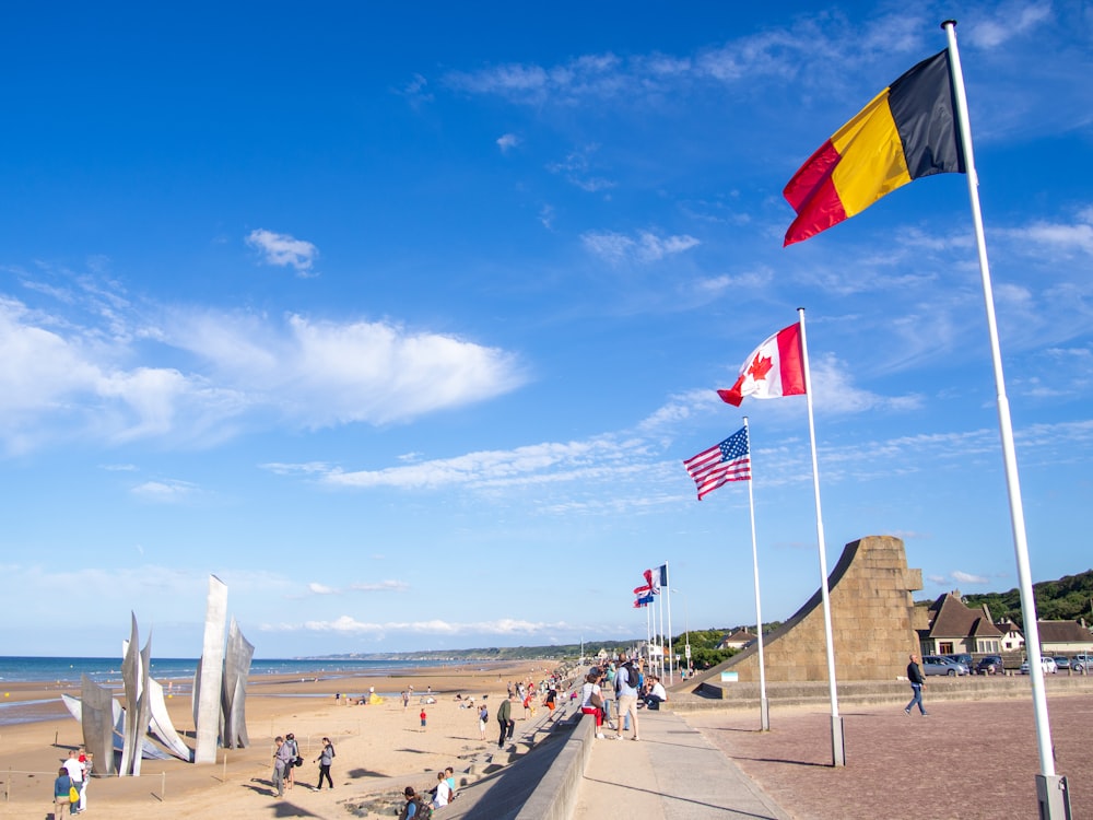 a group of flags flying on top of a sandy beach
