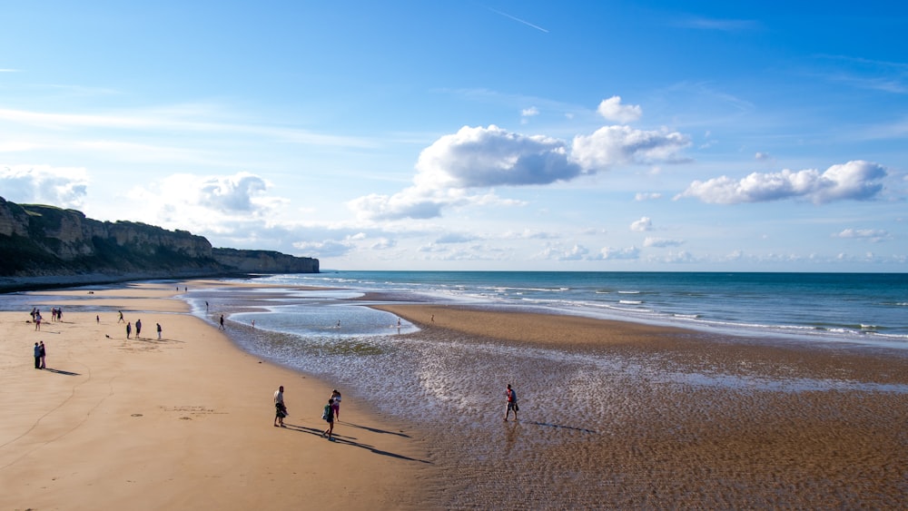 a group of people standing on top of a sandy beach