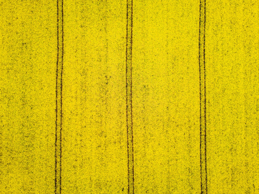 a yellow wall with lines painted on it