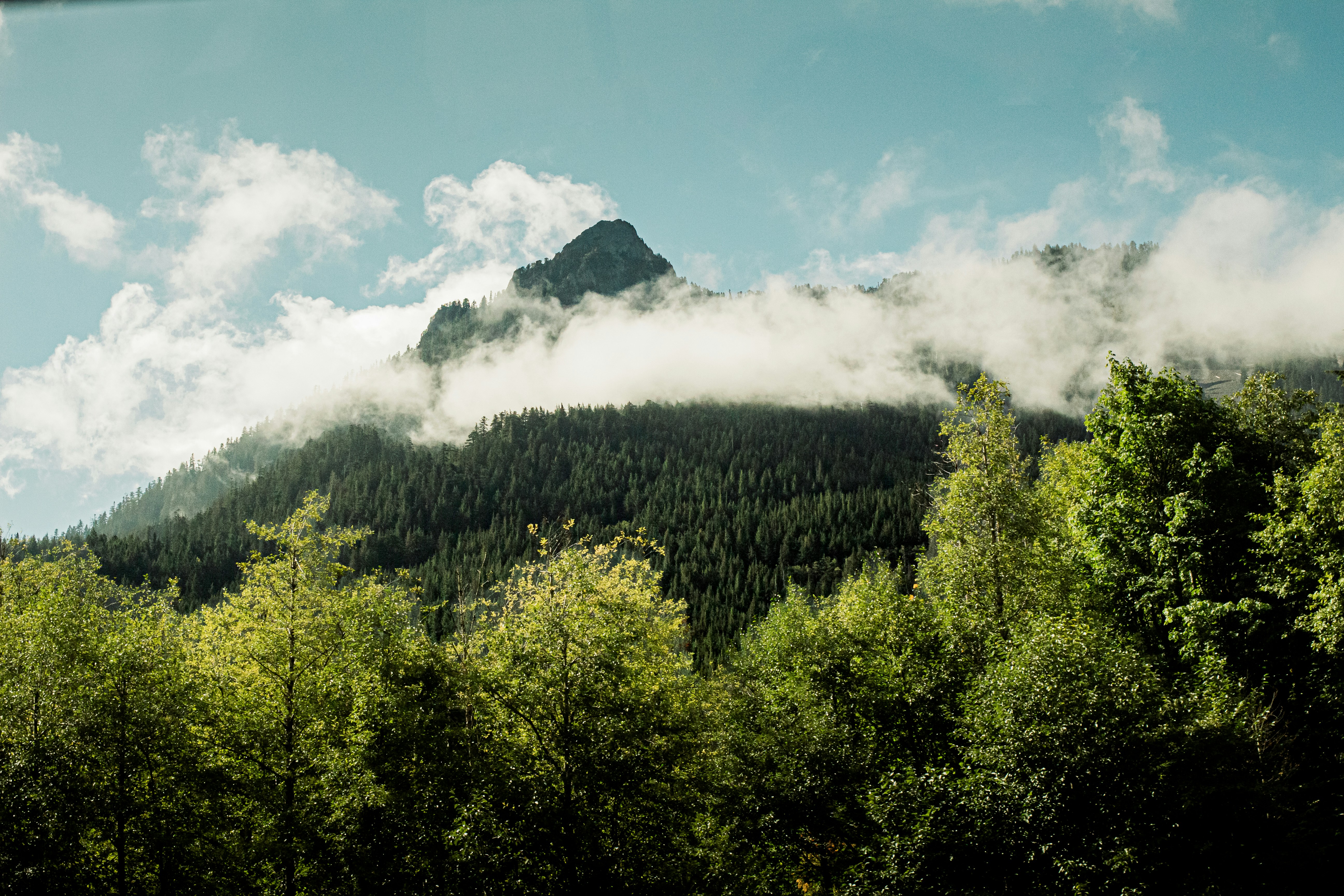 Photo by capturedbydaria