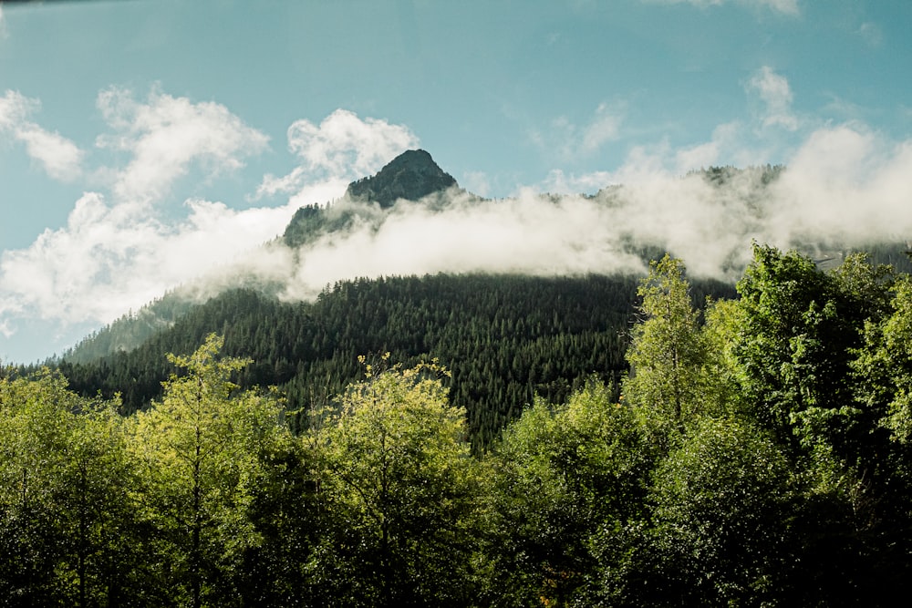 a mountain covered in clouds and trees under a blue sky