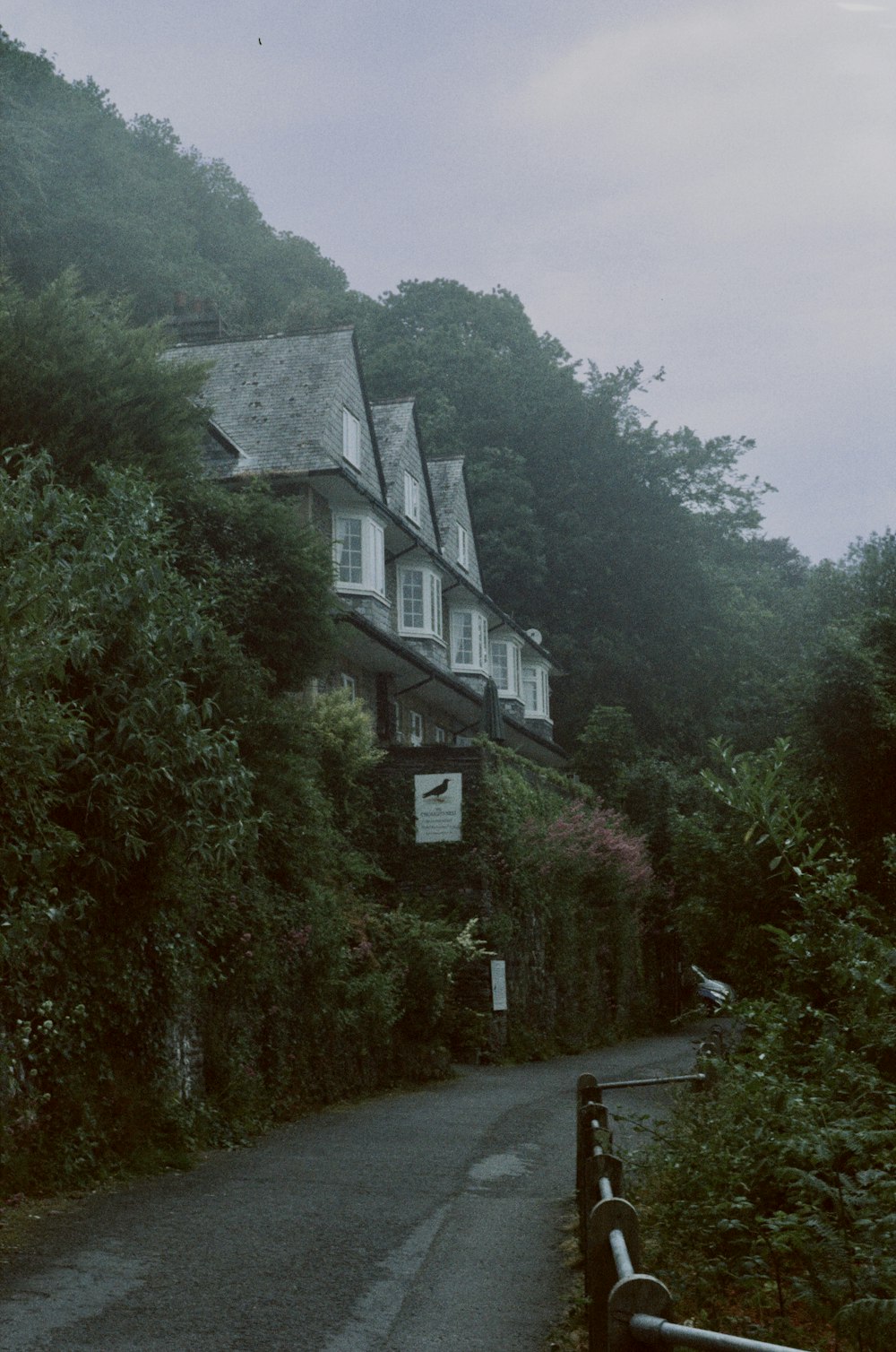 a house on the side of a road surrounded by trees