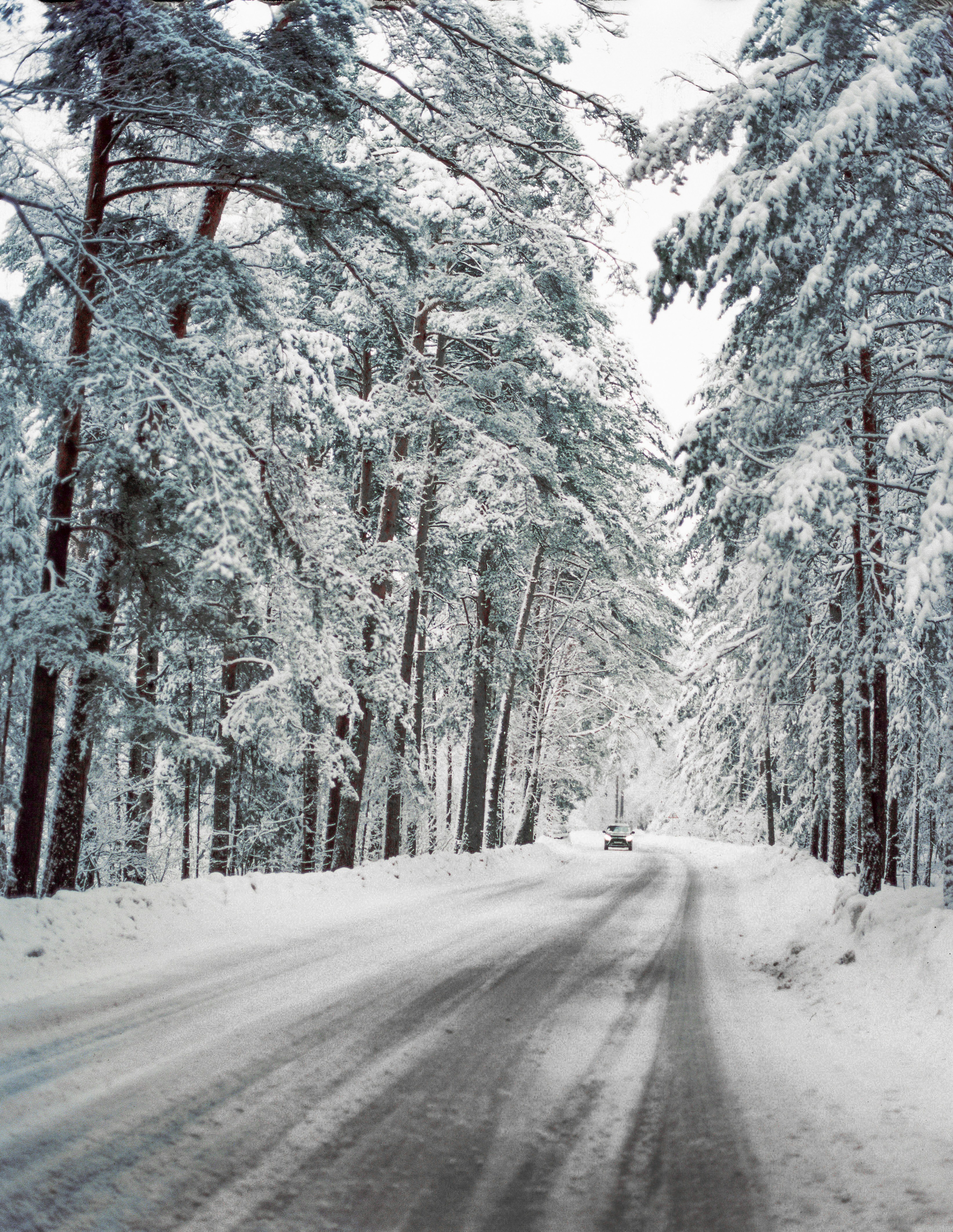 Photo by evil_bumblebee