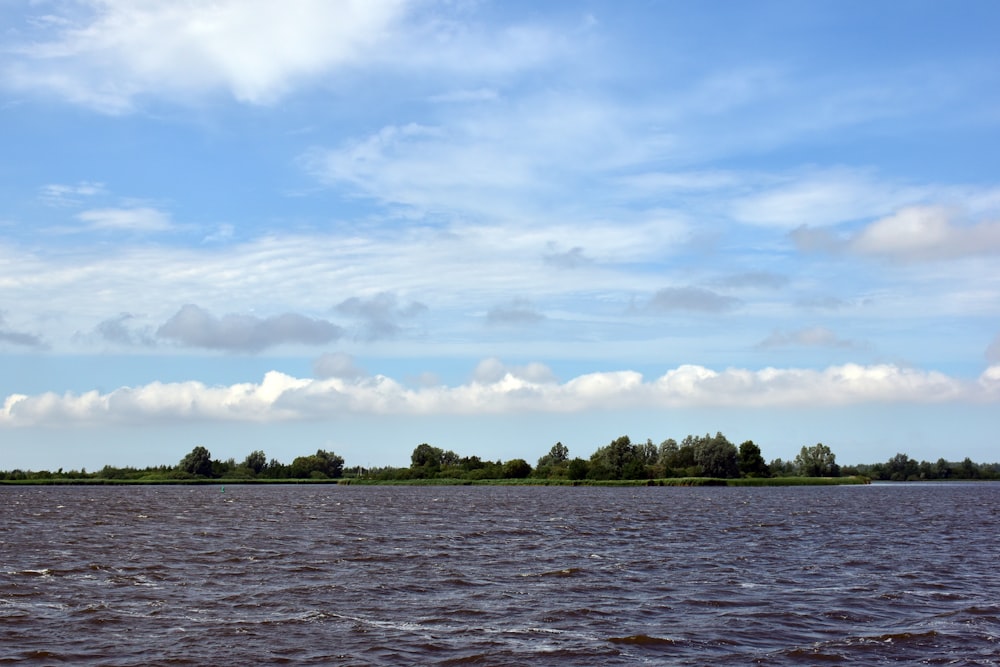 a body of water with trees in the distance