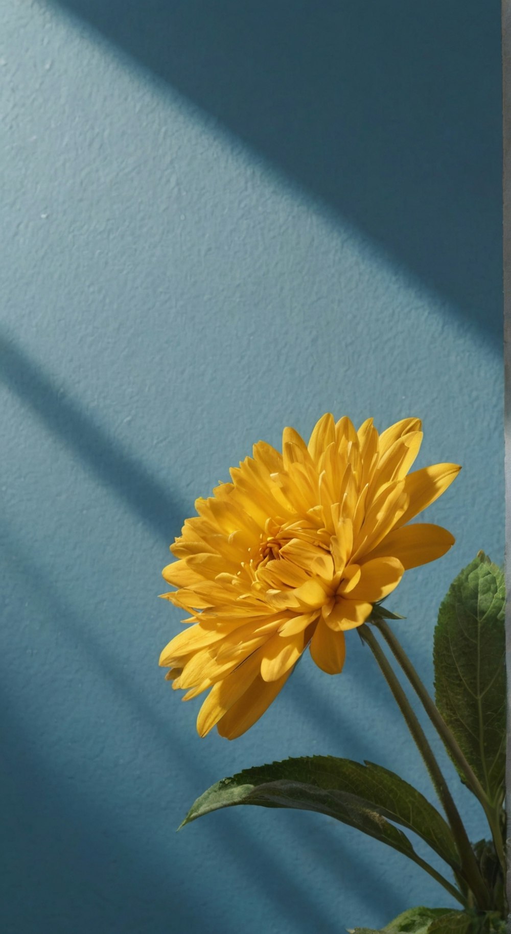 a large yellow flower sitting on top of a green plant