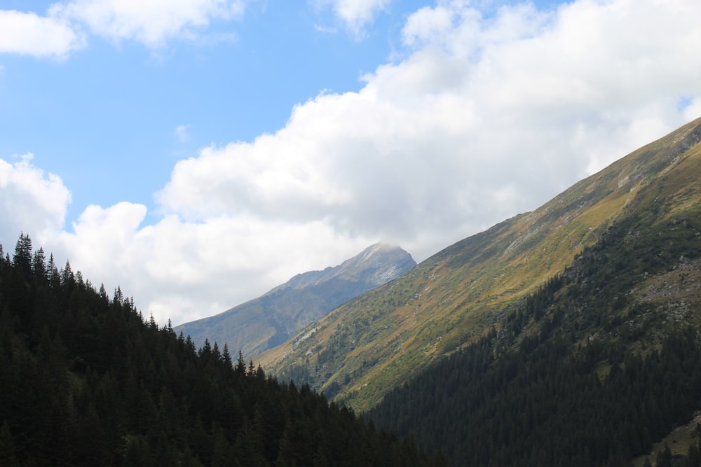 a scenic view of a mountain range with trees in the foreground