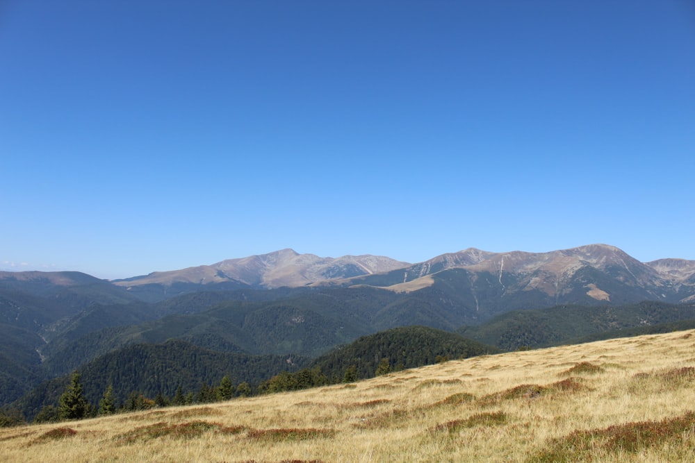 a grassy field with mountains in the background