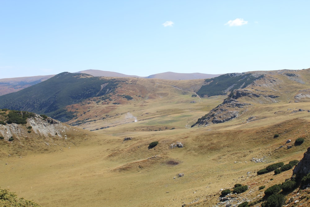 a view of a valley with mountains in the background