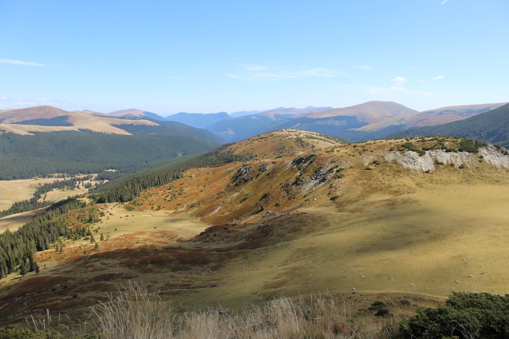 a view of a valley with mountains in the background