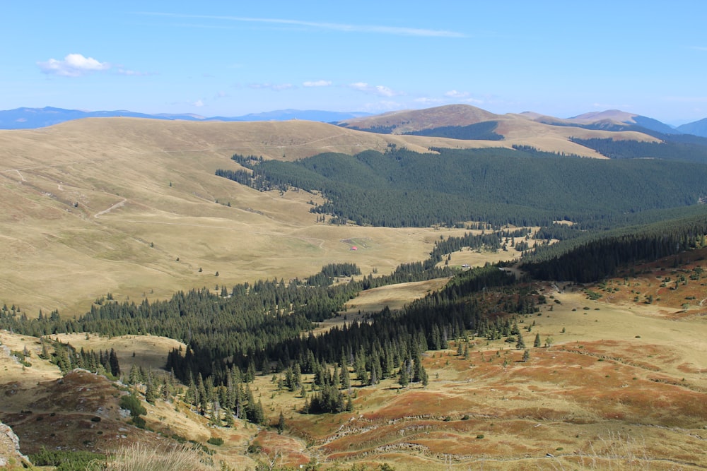 a view of a valley in the mountains