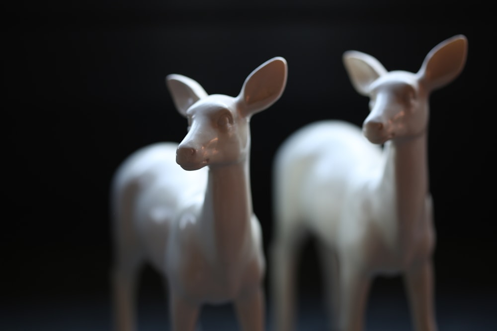 a close up of three toy animals on a table