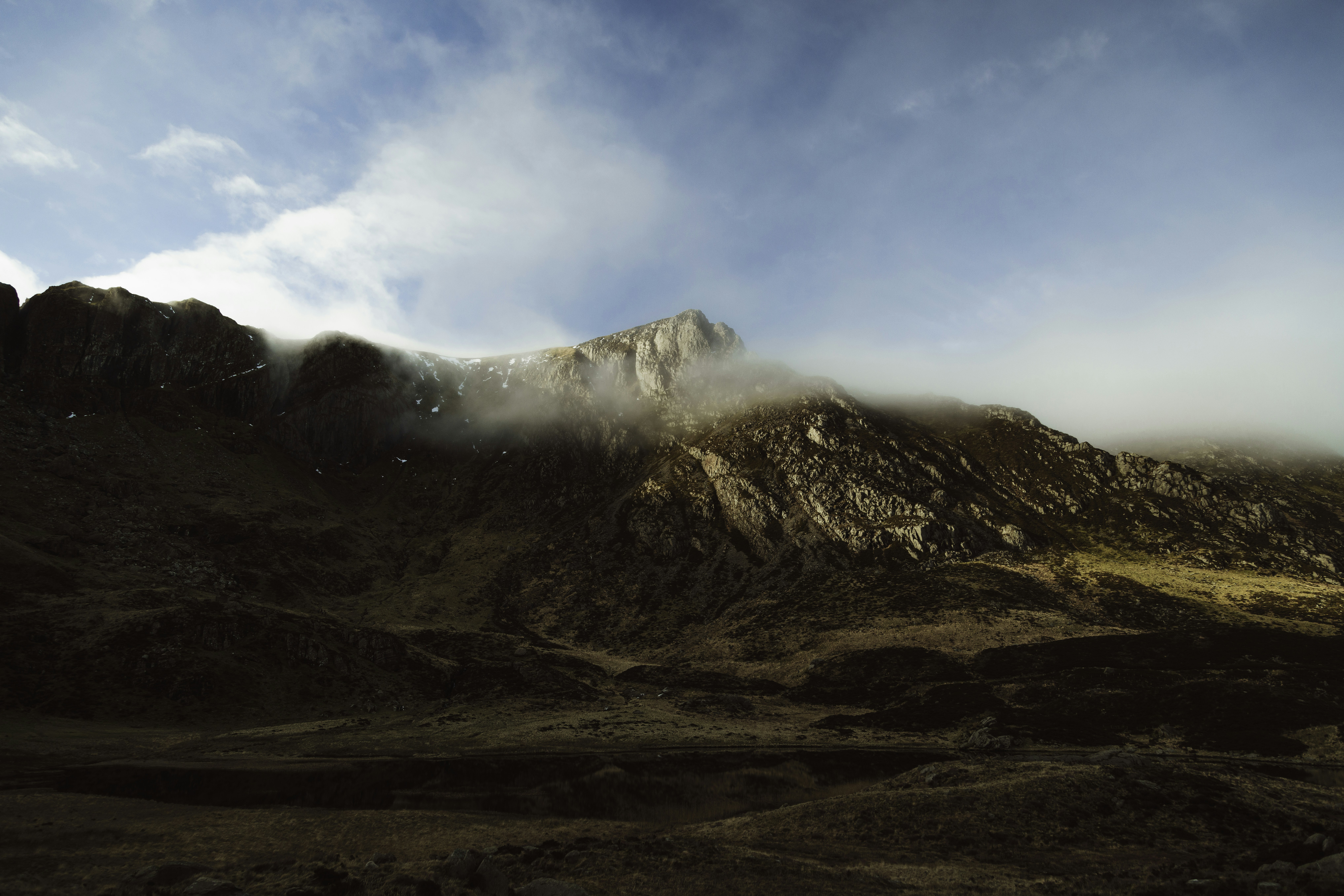 Photo by benoliverpeacock