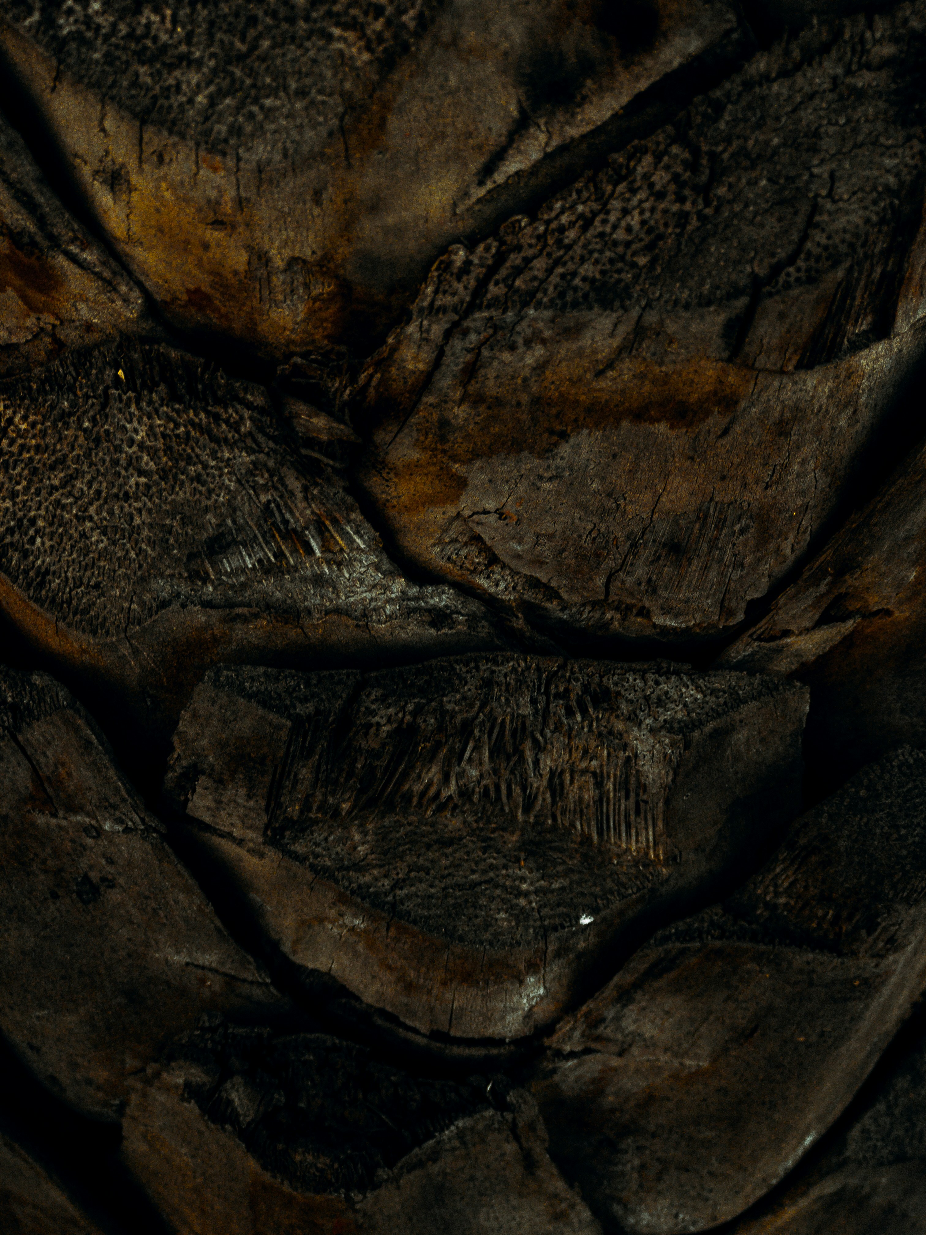 Photo by amritanshdubey