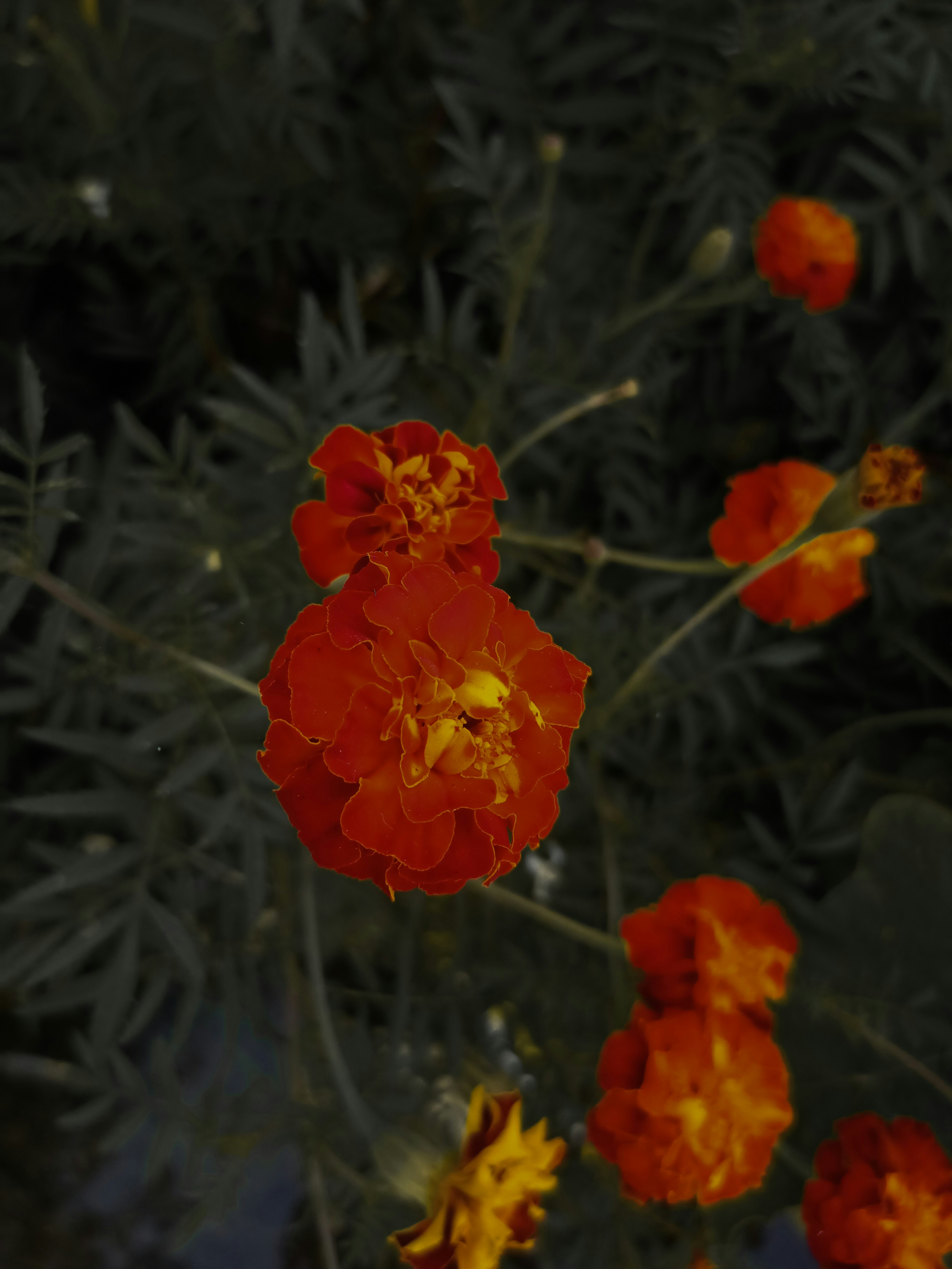 Photo by rohitchavan_80