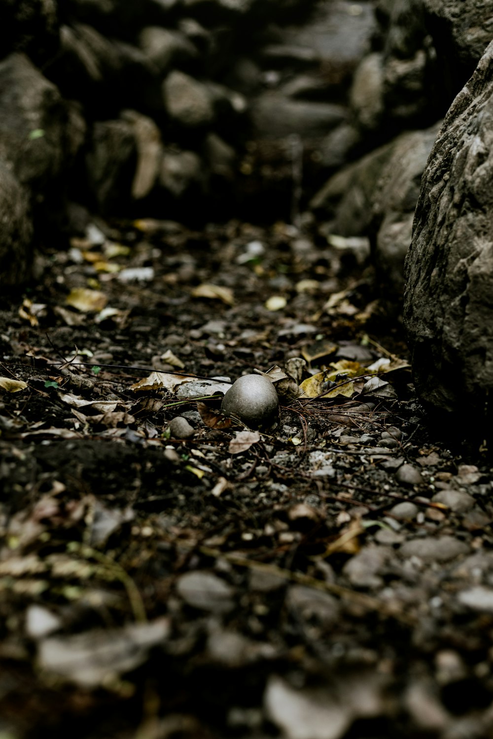 une balle posée sur le sol à côté de rochers