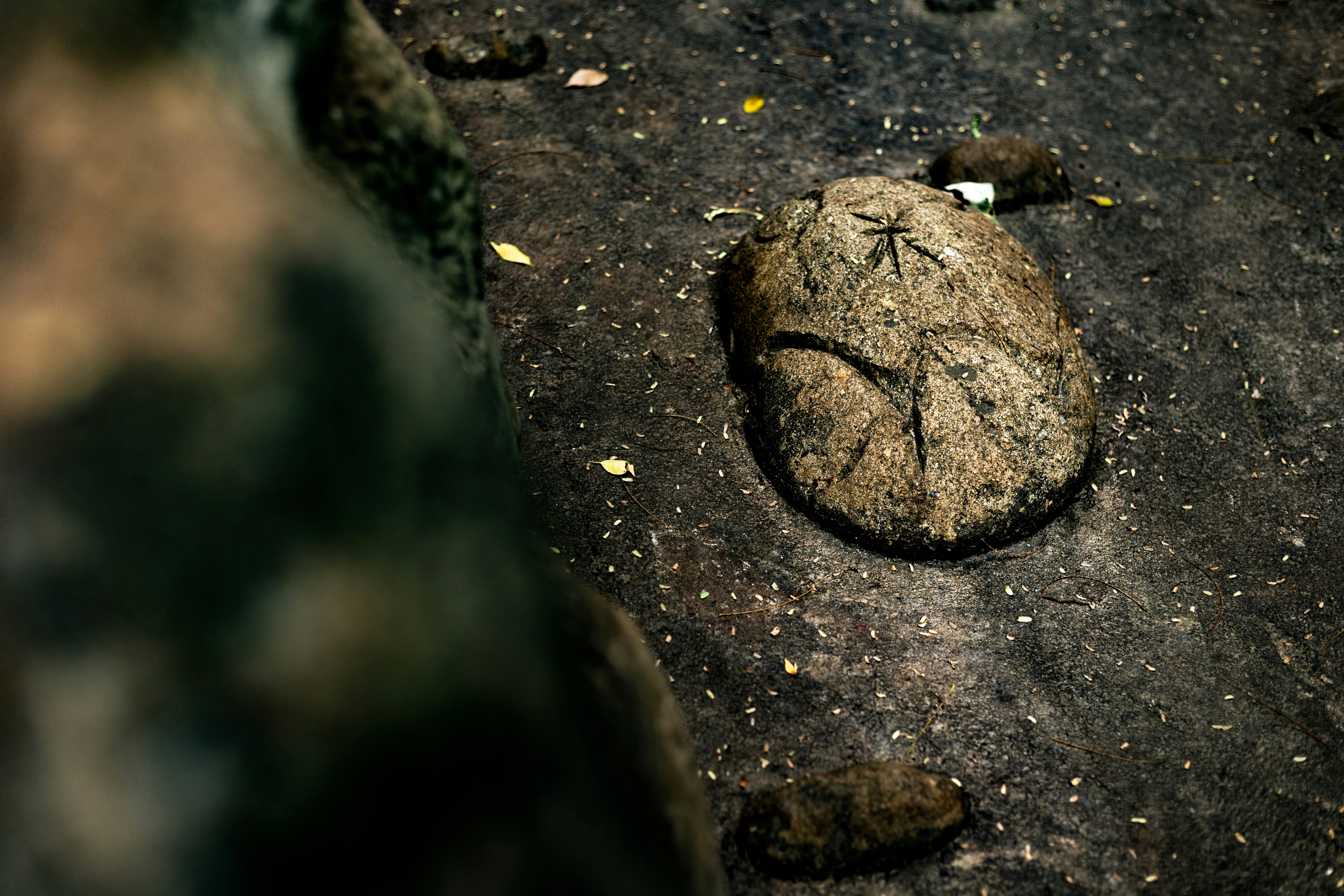 媽祖也瘋 AI？這文化衝擊我嚇到吃手手！