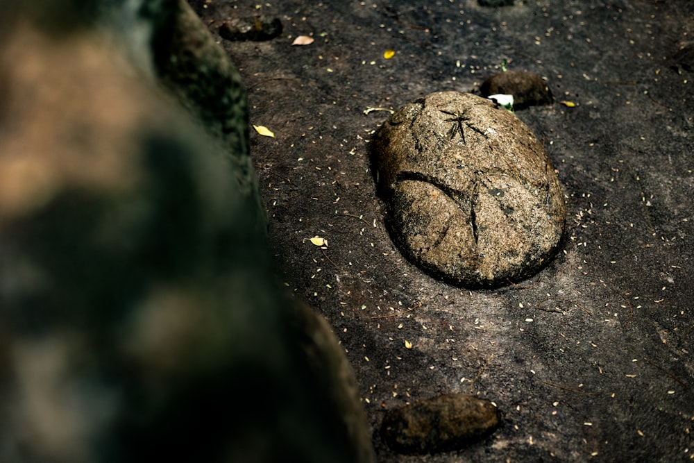 a rock with a face drawn on it