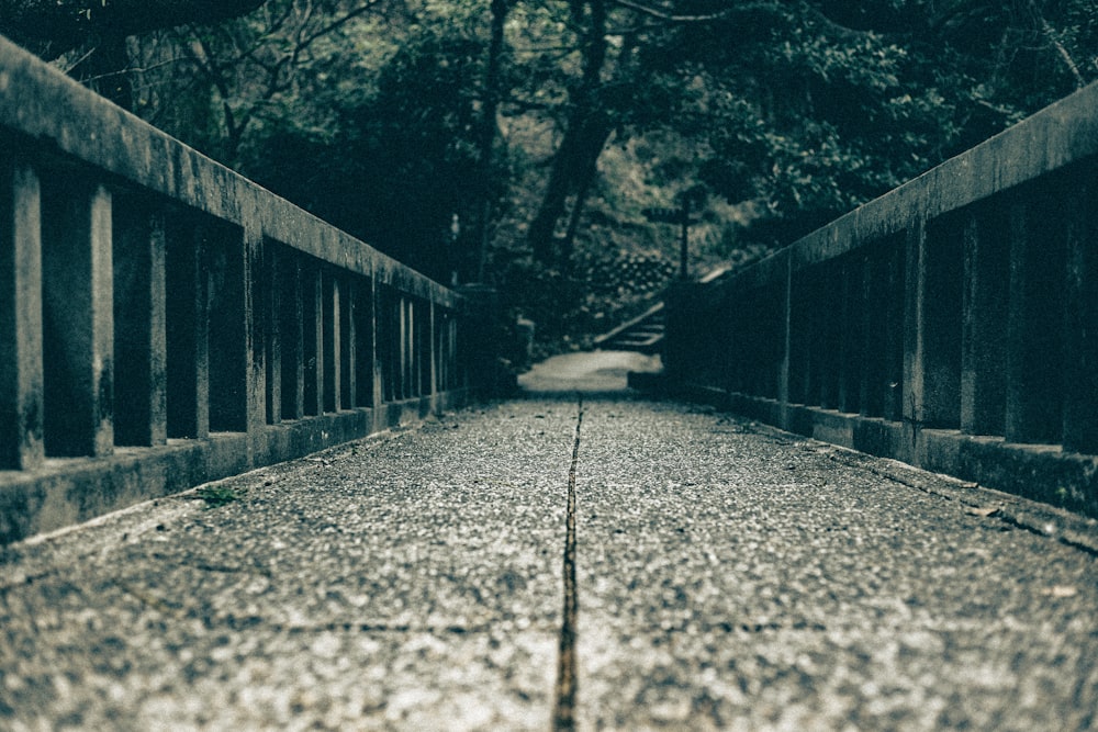 a long walkway with a tree in the background