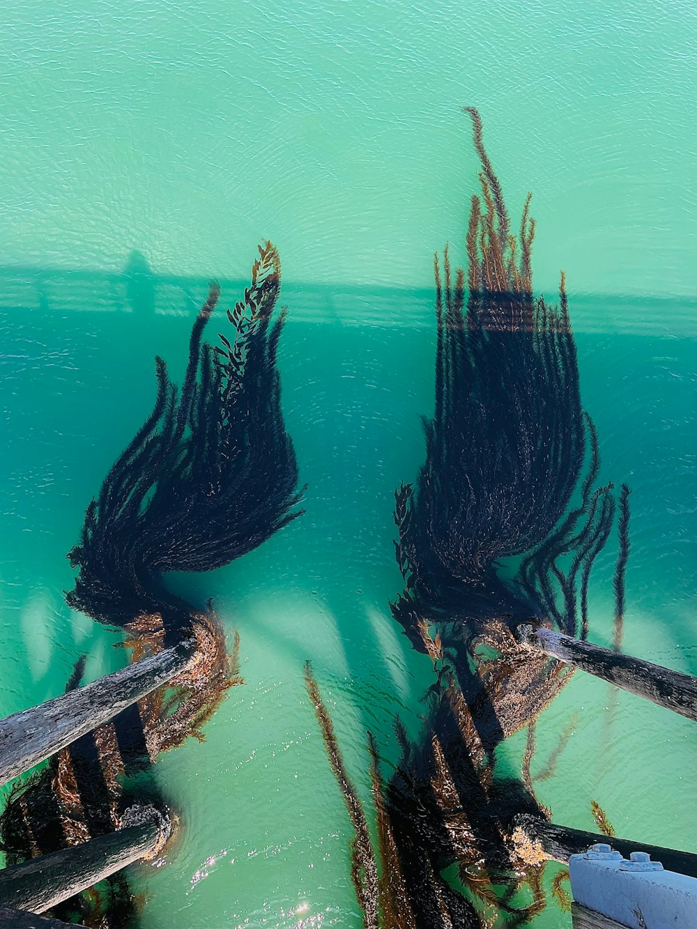 un paio di barche che sono sedute in acqua