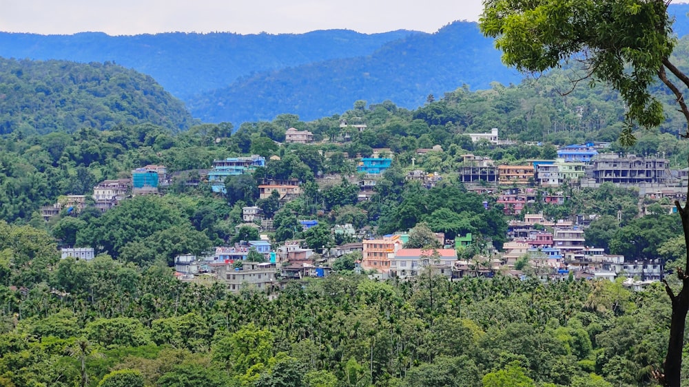 a village nestled on a hillside surrounded by trees