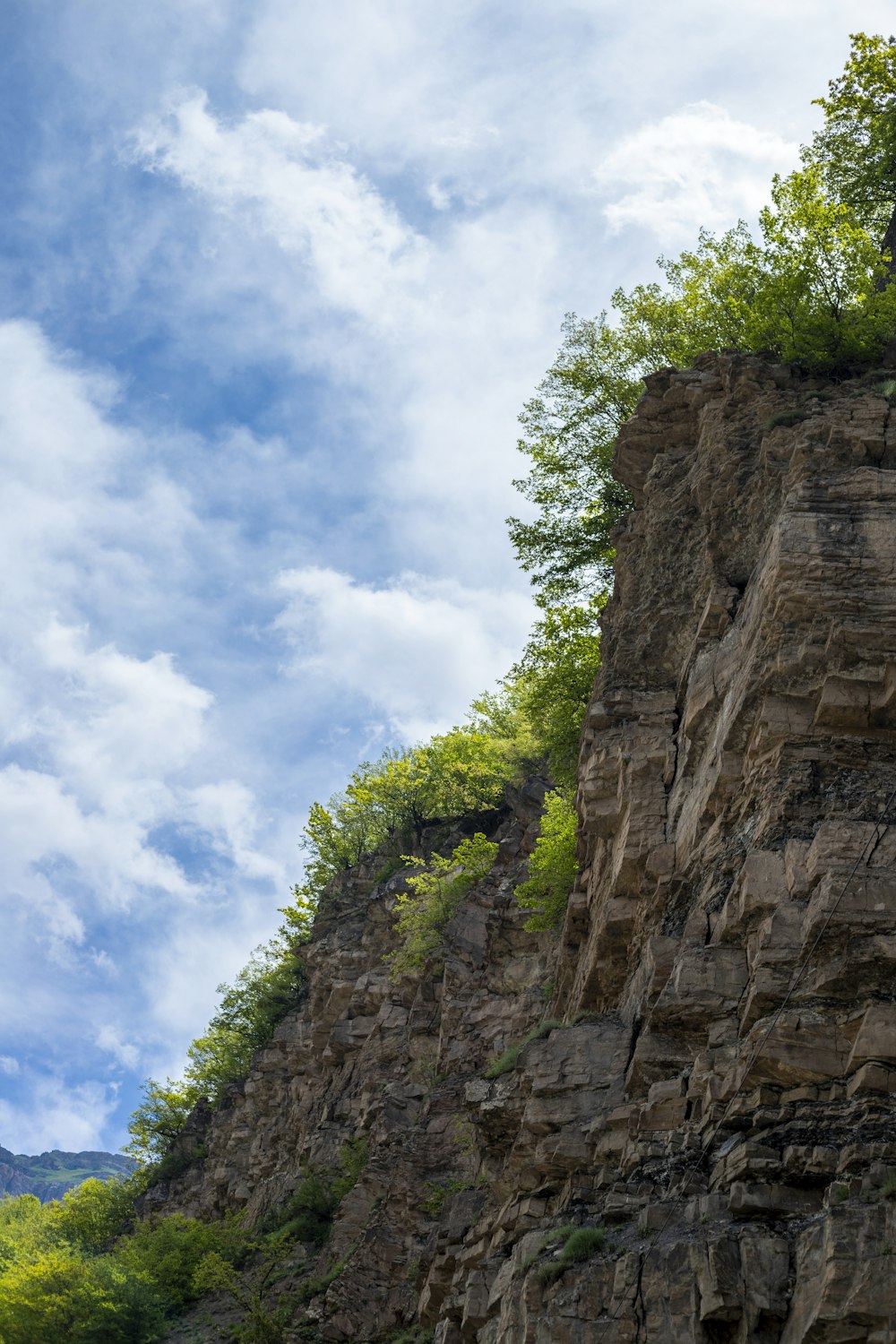 a mountain side with a steep cliff and trees growing on it